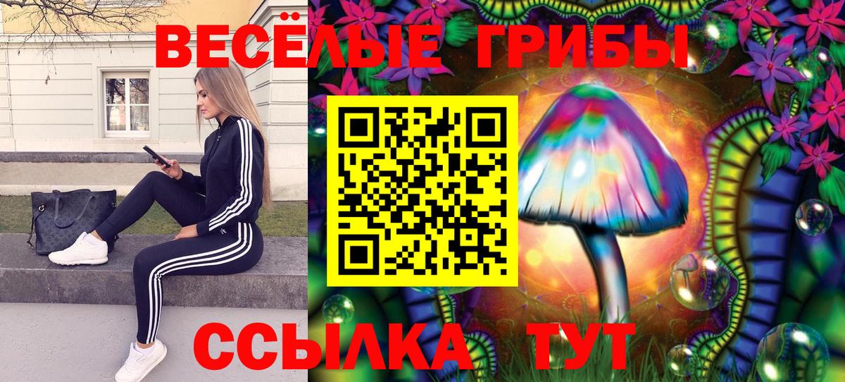 Галлюциногенные грибы Psilocybe  Вход с VPN  Россошь 