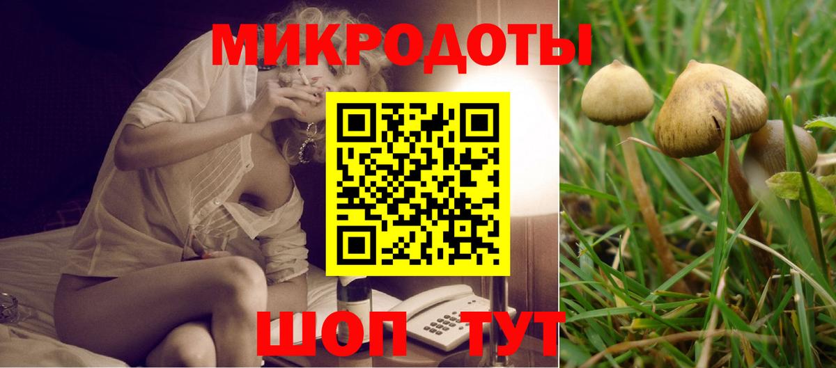 Псилоцибиновые грибы Magic Shrooms Россошь